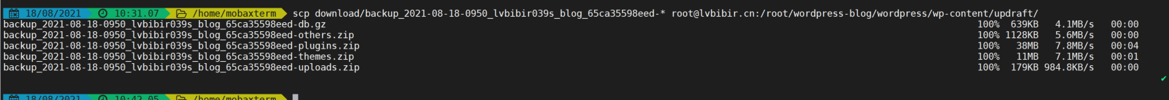 image-20210818104212233